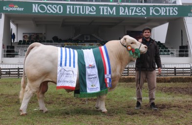 Batovi TE03 Doctor #, o grande campeão da Expointer,